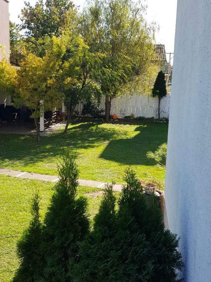 Studio Apartman Gradna 사모볼 외부 사진